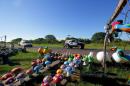 Postales de la segunda etapa del Rally Dkar en Chaco