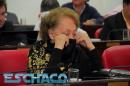 Interpelacin a Soto: Violencia en la Legislatura chaquea
