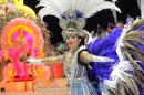 Corrientes, Capital Nacional del Carnaval 2015