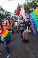 IX Marcha del Orgullo Disidente Chaco
