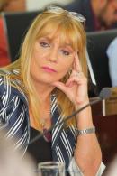 Jura de los nuevos Diputados provinciales del Chaco