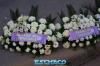 Documentado - EsChaco.com