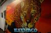 Documentado - EsChaco.com