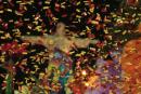 Carnavales 2016: General Pinedo
