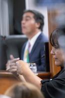 Inicio del 52 perodo de sesiones ordinarias de la Cmara de Diputados