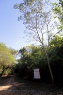 Los Chaguares Reserva Natural