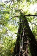 Los Chaguares Reserva Natural
