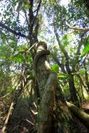 Los Chaguares Reserva Natural
