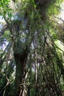 Los Chaguares Reserva Natural