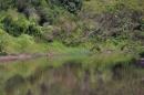 Los Chaguares Reserva Natural