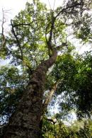 Los Chaguares Reserva Natural