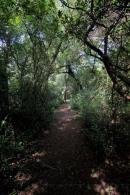 Los Chaguares Reserva Natural