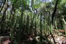Los Chaguares Reserva Natural