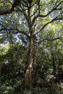 Los Chaguares Reserva Natural