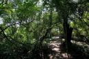 Los Chaguares Reserva Natural