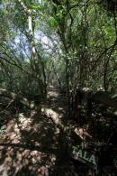 Los Chaguares Reserva Natural