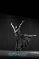 Gala por el Da de la Danza