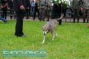 Chaco rindi homenajes a los hroes de Malvinas