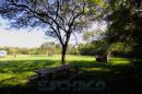 Eschaco en el Parque Nacional Chaco