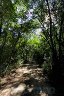 Eschaco en el Parque Nacional Chaco