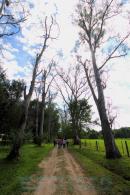 Eschaco en el Parque Nacional Chaco