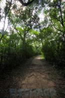 Eschaco en el Parque Nacional Chaco