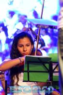 Festival del Taninero y Fiesta Provincial del Chamam