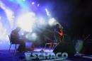Festival del Taninero y Fiesta Provincial del Chamam
