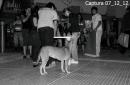 Pancha: Una historia en fotos