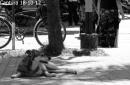 Pancha: Una historia en fotos