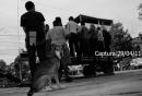 Pancha: Una historia en fotos