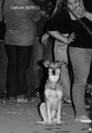 Pancha: Una historia en fotos