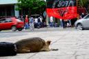Pancha: Una historia en fotos