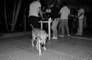 Pancha: Una historia en fotos
