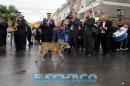 Pancha: Una historia en fotos