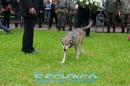 Pancha: Una historia en fotos