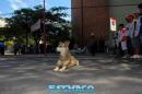 Pancha: Una historia en fotos