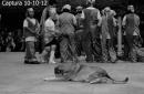 Pancha: Una historia en fotos