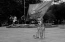 Pancha: Una historia en fotos