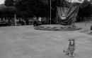 Pancha: Una historia en fotos
