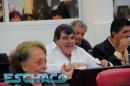 Interpelacin a Soto: Violencia en la Legislatura chaquea