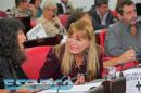 Interpelacin a Soto: Violencia en la Legislatura chaquea