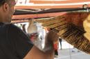 6 Encuentro Internacional de Escultores en Senz Pea