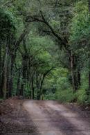 Visita al Parque Nacional Chaco por el Da del Ecoturismo