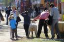 Expo Rural Chaco 2017 en la Sociedad Rural de Resistencia