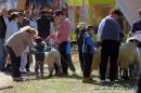 Expo Rural Chaco 2017 en la Sociedad Rural de Resistencia