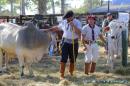 Expo Rural Chaco 2017 en la Sociedad Rural de Resistencia