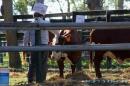 Expo Rural Chaco 2017 en la Sociedad Rural de Resistencia