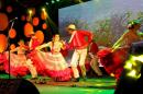 13 Festival Nacional del Taninero y 6 Festival provincial de Chamam en Puerto Tirol