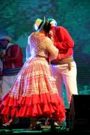 13 Festival Nacional del Taninero y 6 Festival provincial de Chamam en Puerto Tirol